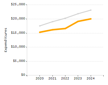 Organization Total Enrollment percentage chart