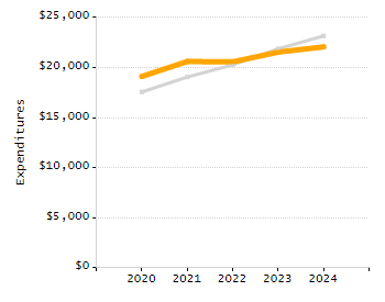 Organization Total Enrollment percentage chart