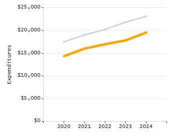 Organization Total Enrollment percentage chart