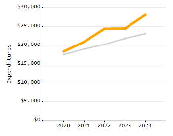Organization Total Enrollment percentage chart