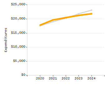 Organization Total Enrollment percentage chart