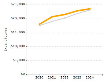 Organization Total Enrollment percentage chart