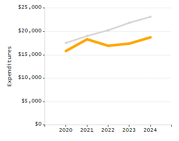 Organization Total Enrollment percentage chart
