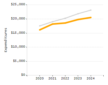 Percentage of school-aged residents enrolled in public school chart