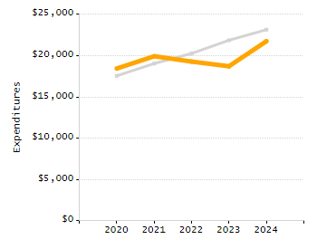 Organization Total Enrollment percentage chart