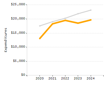 Percentage of school-aged residents enrolled in public school chart