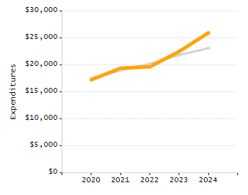 Organization Total Enrollment percentage chart