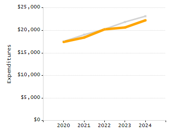 Percentage of school-aged residents enrolled in public school chart