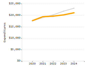 Organization Total Enrollment percentage chart