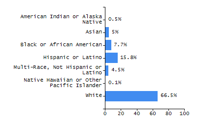 Bar chart showing student race and ethnicity percentages. White: 8.6%, Native Hawaiian or Other Pacific Islander: 0.8%, Multi-Race, Not Hispanic or Latino: 6.1%, Hispanic or Latino: 20.1%, Black or African American: 60.2%, Asian: 3.7%, American Indian or Alaska Native: 0.4%.