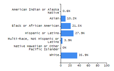 Bar chart showing student race and ethnicity percentages. White: 35.9%, Native Hawaiian or Other Pacific Islander: 0%, Multi-Race, Not Hispanic or Latino: 3.9%, Hispanic or Latino: 27.9%, Black or African American: 21.5%, Asian: 10.2%, American Indian or Alaska Native: 0.6%.