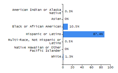 Bar chart showing student race and ethnicity percentages. White: 62.2%, Native Hawaiian or Other Pacific Islander: 0%, Multi-Race, Not Hispanic or Latino: 8.9%, Hispanic or Latino: 11.1%, Black or African American: 2.2%, Asian: 15.6%, American Indian or Alaska Native: 0%.