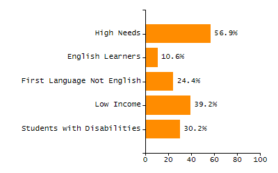 Bar chart showing student race and ethnicity percentages. White: 50.5%, Native Hawaiian or Other Pacific Islander: 0.3%, Multi-Race, Not Hispanic or Latino: 5.7%, Hispanic or Latino: 13.3%, Black or African American: 28.8%, Asian: 1.1%, American Indian or Alaska Native: 0.3%.