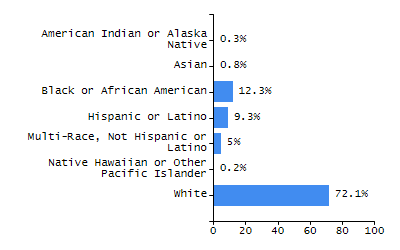Bar chart showing student race and ethnicity percentages. White: 74%, Native Hawaiian or Other Pacific Islander: 0.6%, Multi-Race, Not Hispanic or Latino: 4.8%, Hispanic or Latino: 11.7%, Black or African American: 3.5%, Asian: 5.4%, American Indian or Alaska Native: 0%.