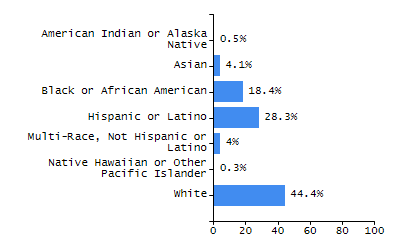 Bar chart showing student race and ethnicity percentages. White: 44.4%, Native Hawaiian or Other Pacific Islander: 0.3%, Multi-Race, Not Hispanic or Latino: 4%, Hispanic or Latino: 28.3%, Black or African American: 18.4%, Asian: 4.1%, American Indian or Alaska Native: 0.5%.