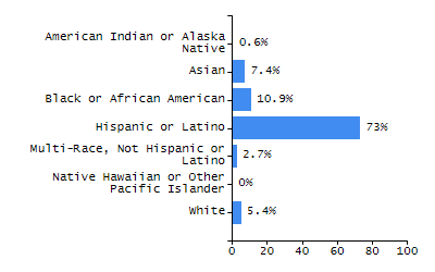 Bar chart showing student race and ethnicity percentages. White: 18%, Native Hawaiian or Other Pacific Islander: 0.1%, Multi-Race, Not Hispanic or Latino: 4%, Hispanic or Latino: 42.6%, Black or African American: 9.5%, Asian: 25.6%, American Indian or Alaska Native: 0.2%.