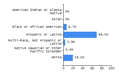 Bar chart showing selected student populations. Students with Disabilities: 20.1%, Low Income: 40.3%, First Language Not English: 25.3%, English Learners: 17.5%, High Needs: 53.9%.