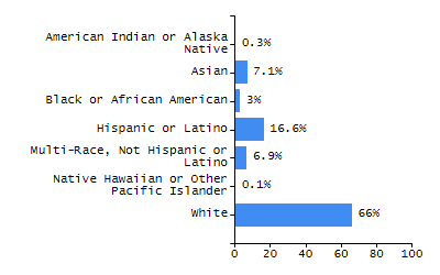 Bar chart showing student race and ethnicity percentages. White students: 71.3%, Hispanic or Latino: 16%, Black or African American: 5.9%, Multi-Race, Not Hispanic or Latino: 3.6%, Asian: 2.7%, American Indian or Alaska Native: 0.4%, Native Hawaiian or Other Pacific Islander: 0%.