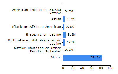 Bar chart showing student race and ethnicity percentages. White: 72.4%, Native Hawaiian or Other Pacific Islander: 0%, Multi-Race, Not Hispanic or Latino: 4.6%, Hispanic or Latino: 16.2%, Black or African American: 4.4%, Asian: 2.3%, American Indian or Alaska Native: 0.1%.