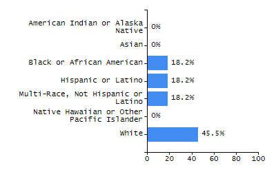 Bar chart showing student race and ethnicity percentages. White: 9.5%, Native Hawaiian or Other Pacific Islander: 0.6%, Multi-Race, Not Hispanic or Latino: 8%, Hispanic or Latino: 23%, Black or African American: 57.3%, Asian: 1.5%, American Indian or Alaska Native: 0%.