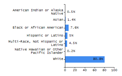Bar chart showing selected student populations. Students with Disabilities: 25%, Low Income: 77.3%, First Language Not English: 53.1%, English Learners: 38.9%, High Needs: 89.3%.