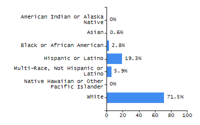 Bar chart showing selected student populations. Students with Disabilities: 18.2%, Low Income: 15.1%, First Language Not English: 3.3%, English Learners: 2%, High Needs: 30.2%.