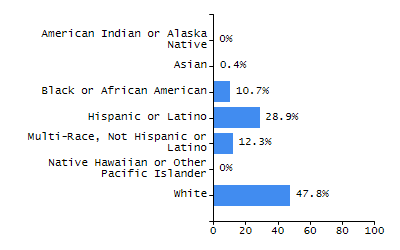 Bar chart showing student race and ethnicity percentages. White: 50.2%, Native Hawaiian or Other Pacific Islander: 0.2%, Multi-Race, Not Hispanic or Latino: 3%, Hispanic or Latino: 37.8%, Black or African American: 5%, Asian: 1.9%, American Indian or Alaska Native: 1.8%.