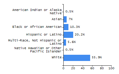 Bar chart showing selected student populations. Students with Disabilities: 21.2%, Low Income: 24.5%, First Language Not English: 17%, English Learners: 6.9%, High Needs: 40.4%.