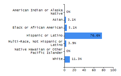Bar chart showing student race and ethnicity percentages. White: 52.2%, Native Hawaiian or Other Pacific Islander: 0.1%, Multi-Race, Not Hispanic or Latino: 9.6%, Hispanic or Latino: 11.3%, Black or African American: 4.7%, Asian: 22%, American Indian or Alaska Native: 0.1%.