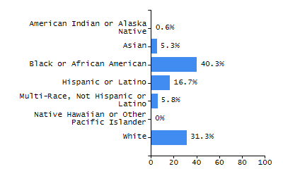 Bar chart showing student race and ethnicity percentages. White: 80.7%, Native Hawaiian or Other Pacific Islander: 0%, Multi-Race, Not Hispanic or Latino: 11.5%, Hispanic or Latino: 6.9%, Black or African American: 0%, Asian: 0.9%, American Indian or Alaska Native: 0%.