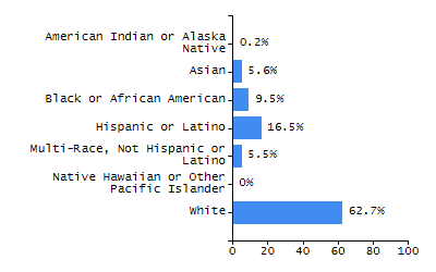 Bar chart showing student race and ethnicity percentages. White students: 71.3%, Hispanic or Latino: 16%, Black or African American: 5.9%, Multi-Race, Not Hispanic or Latino: 3.6%, Asian: 2.7%, American Indian or Alaska Native: 0.4%, Native Hawaiian or Other Pacific Islander: 0%.