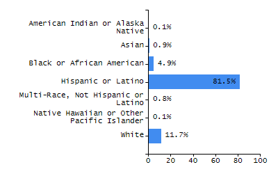 Bar chart showing selected student populations. Students with Disabilities: 19.5%, Low Income: 46.1%, First Language Not English: 28%, English Learners: 10.3%, High Needs: 60.2%.