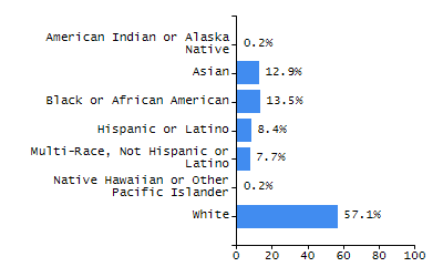 Bar chart showing student race and ethnicity percentages. White: 56.7%, Native Hawaiian or Other Pacific Islander: 0.2%, Multi-Race, Not Hispanic or Latino: 6.5%, Hispanic or Latino: 19.5%, Black or African American: 12.2%, Asian: 4.5%, American Indian or Alaska Native: 0.4%.