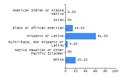Bar chart showing student race and ethnicity percentages. White: 9.1%, Native Hawaiian or Other Pacific Islander: 0.2%, Multi-Race, Not Hispanic or Latino: 4.3%, Hispanic or Latino: 17.3%, Black or African American: 65.9%, Asian: 2.9%, American Indian or Alaska Native: 0.2%.