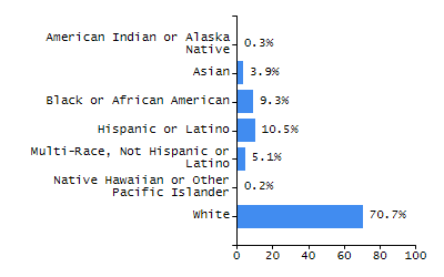 Bar chart showing selected student populations. Students with Disabilities: 24.4%, Low Income: 31.5%, First Language Not English: 9.6%, English Learners: 5.1%, High Needs: 46.7%.