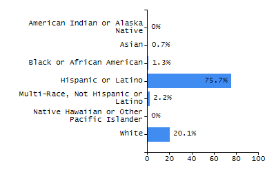 Bar chart showing selected student populations. Students with Disabilities: 15%, Low Income: 22.1%, First Language Not English: 4.5%, English Learners: 2.2%, High Needs: 32.6%.