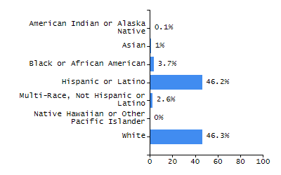 Bar chart showing student race and ethnicity percentages. White: 37%, Native Hawaiian or Other Pacific Islander: 0%, Multi-Race, Not Hispanic or Latino: 4.5%, Hispanic or Latino: 31.2%, Black or African American: 17.8%, Asian: 9.2%, American Indian or Alaska Native: 0.3%.